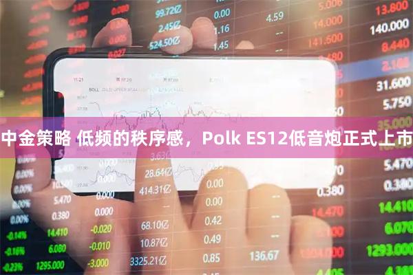 中金策略 低频的秩序感，Polk ES12低音炮正式上市