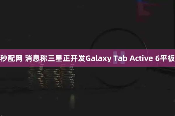 秒配网 消息称三星正开发Galaxy Tab Active 6平板