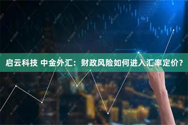 启云科技 中金外汇：财政风险如何进入汇率定价？