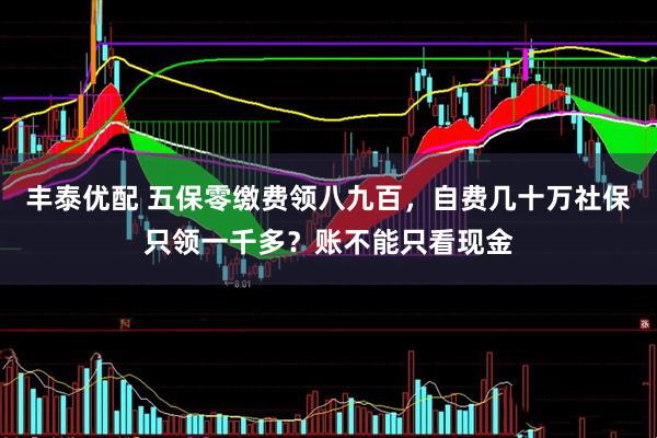 丰泰优配 五保零缴费领八九百,自费几十万社保只领一千多?账不能只看现金