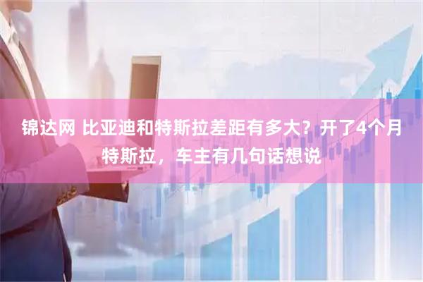 锦达网 比亚迪和特斯拉差距有多大？开了4个月特斯拉，车主有几句话想说